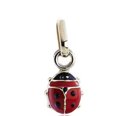 Pendentif argent coccinelle rouge