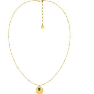 Collier Acier Doré avec plaque ronde