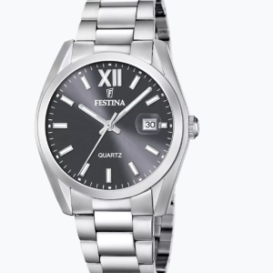 Montre Festina Homme Grise
